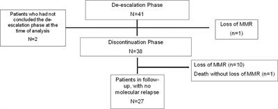 Kinetics of BCR::ABL1 transcript levels and molecular relapse after tyrosine kinase inhibitors discontinuation in chronic myeloid leukemia patients: preliminary results from the DES-CML study